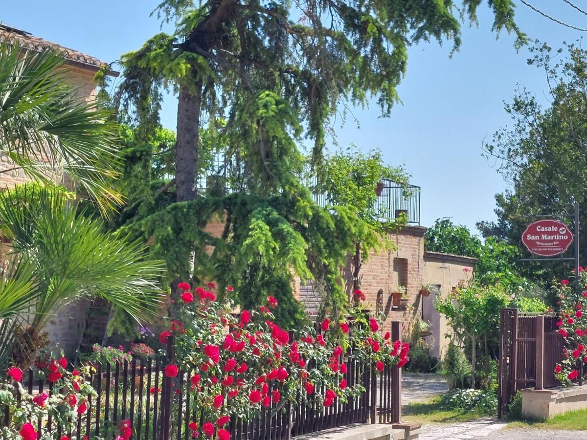 Casale San Martino Agriturismo Bio Sant'Angelo in Pontano Exterior photo